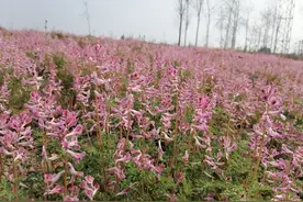 憋回去的屎最后去了哪里？这个问题我憋了很久才敢问！图片