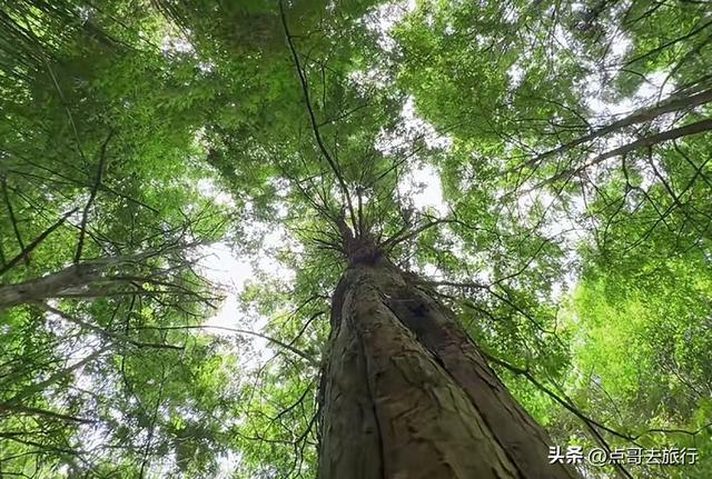 成都清凉景区秘境，最原始的古道观，像是无人知道一样，不要门票