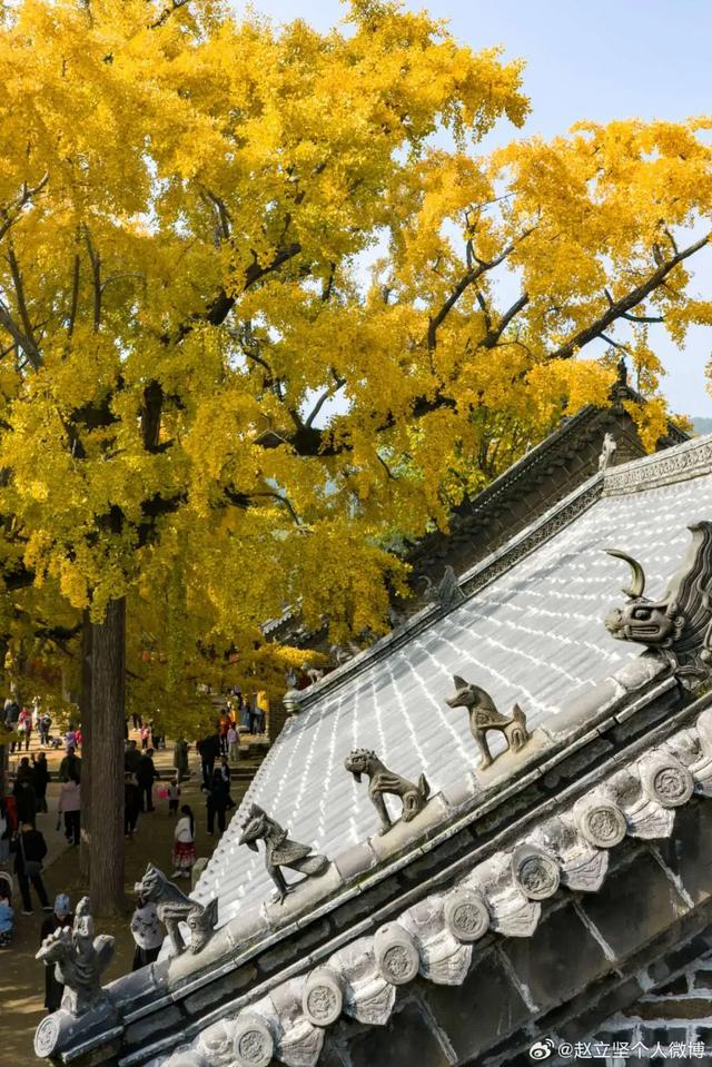 连发两篇！赵立坚推介日照这一美景：每一帧都是壁纸！