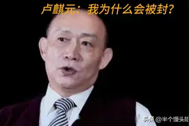 如何看待卢麒元先生重回我们的视野？图片