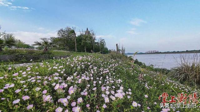 乡村有野趣，老城有烟火——石鼓区推出“乐游石鼓·五一嗨玩之旅”精品线路