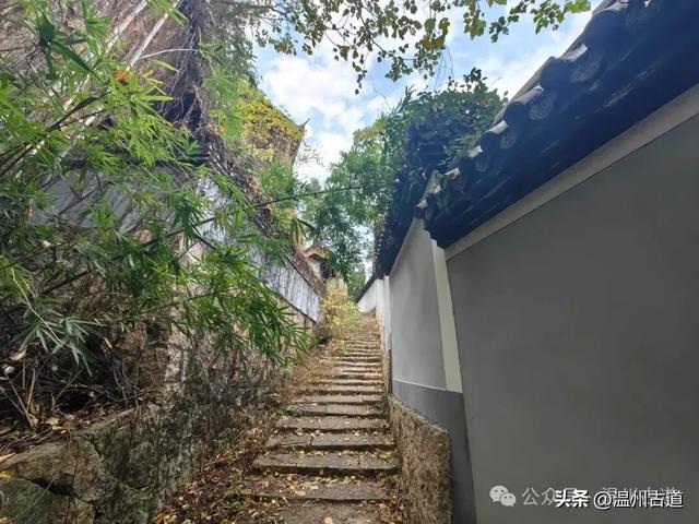 一树金黄，满城风雅！温州这棵著名的古寺银杏再不去就要落叶了