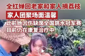 全红婵回老家摘荔枝，家人团聚场面温馨！近期她因伤两次退赛，仍在康复治疗中图片