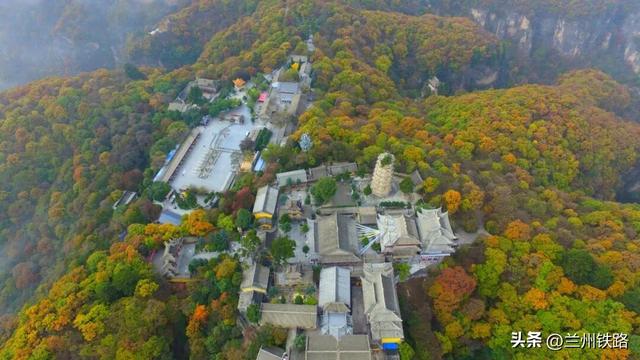 #“我的铁路风景”故事汇##火车和秋天同框# 金秋全域特色线路丨“陇原秋韵”诗画之旅