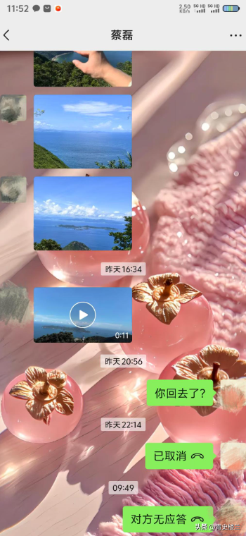 27岁蔡磊已找到!被曝现场惨不忍睹 尸体身首分离，哥哥发声引争议