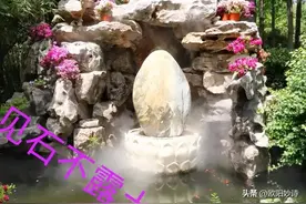 我和老公去上海“方塔公园”玩，没想到路上又捡了“醉白池公园”图片