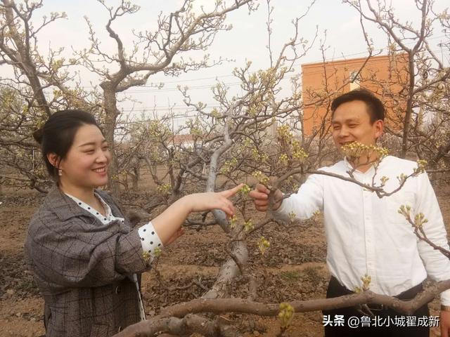 阳信第37届梨花会4月4日—6日盛大启幕