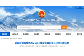 西藏2025年社保基数公布，利好灵活就业等部分群体图片