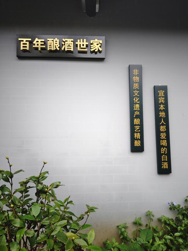 南行漫记：和宜宾握手再见，到李庄古镇打卡，今天跑到贵州