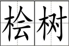 一读易错，桧树的“桧”不读huì，不读kuài，怎么读，指什么？图片