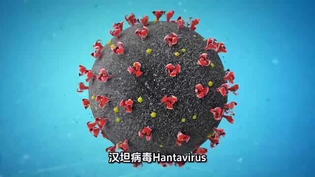 外媒坑都挖好了，结果中国游客提前下船：汉坦病毒甩锅失败了！