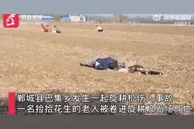 最新！河南又发惨事：老人捡花生被绞机器惨死，起因是穷还是贪？图片