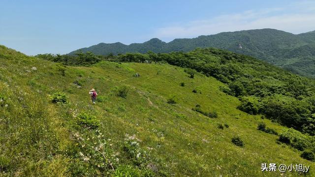 两次本溪南岭徒步记|高山草甸,湖池松林,我被南岭种草