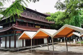 最新进展！八一大桥不止有“黑猫白猫”，还有“四大名楼”图片