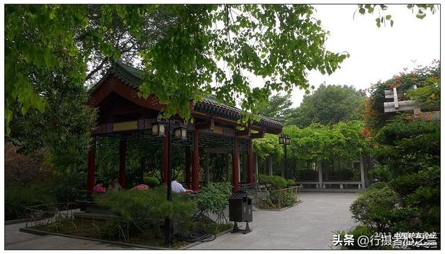 山东行游影记（8）—济南趵突泉（八）
