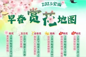 2025全国早春赏花地图来了！一起解锁春日限定浪漫图片