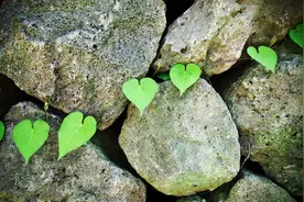 家里的财总是聚不住，应该是这3点作怪，早看透早知道图片