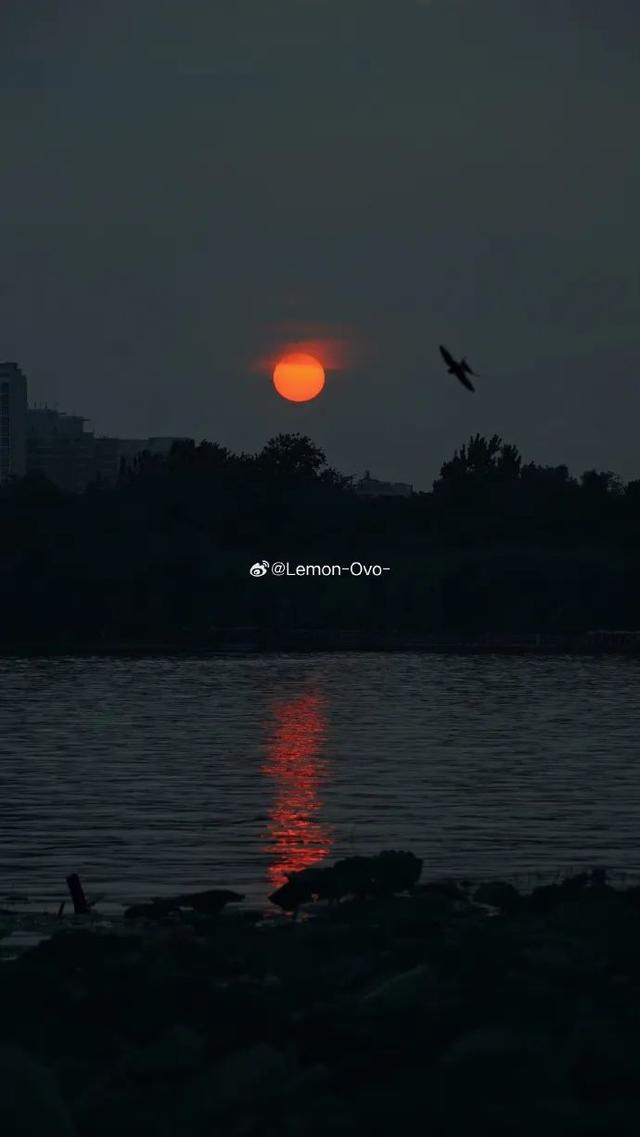 又一批“济南寻美客”出炉！欢迎你也来将济南的美定格