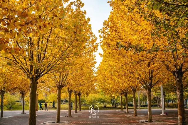 童话世界！深秋的生态城，美成了一幅画