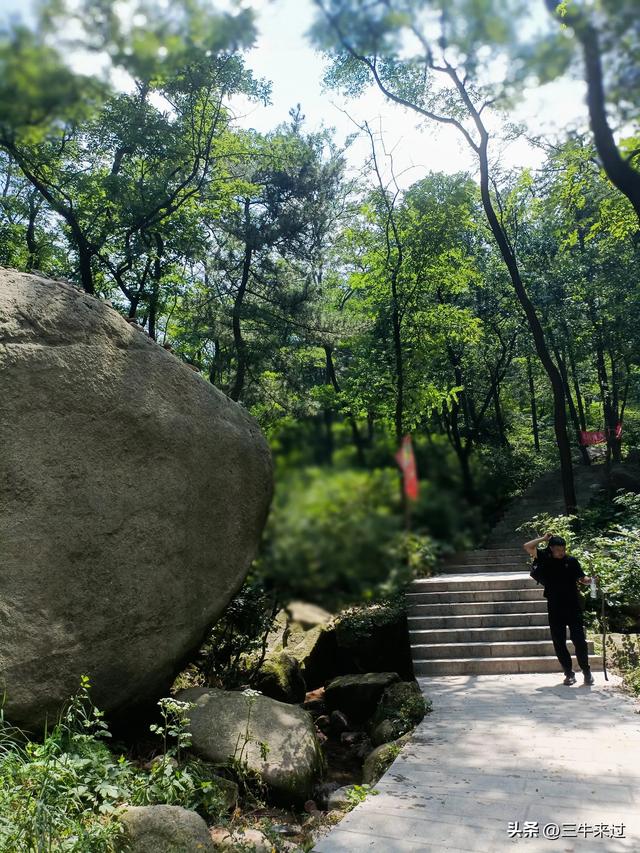 无为在歧路，避暑去鲁山