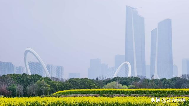 江心洲繁花似锦，油菜花海绘就春日油画