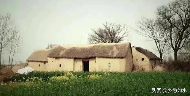 腊八节写了一篇描写母爱的文章	，没想到遇到了一位神一样的粉丝