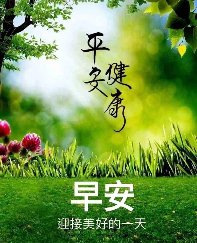 2025年7月29日早上好 早上好温馨问候语 最新早安精美图片 周二愉快