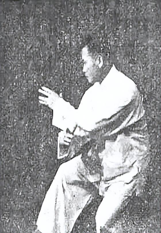 丹田藏火三十年，摸鱼劲里见真传！内家拳“术”“法”首度公开