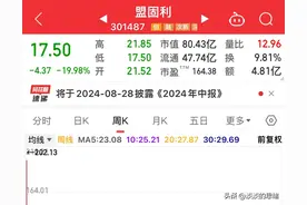 单日大涨37倍，从5元到202，一年后仅剩零头，今日为何20cm闪崩？图片