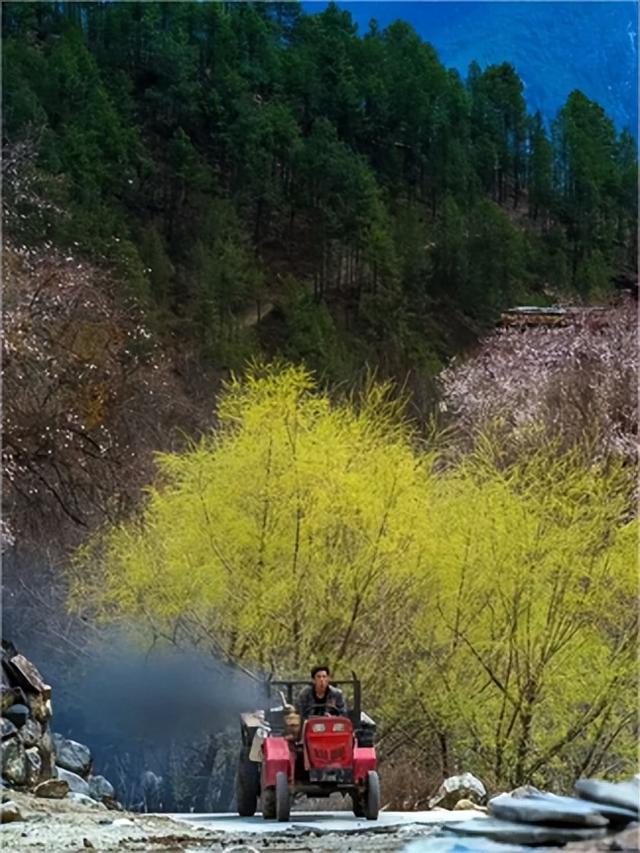 3 月旅行地推荐！这17 个地方春暖花开美到不像话，第一个直接心动