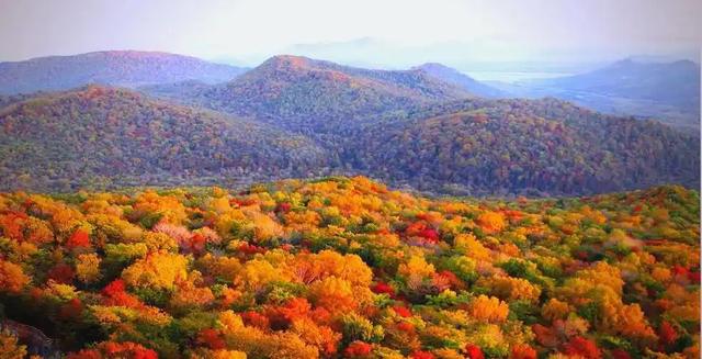 长白山 22 万人挤爆!央媒 200 篇 ,社媒 20 亿曝光!东北秋游火得非偶然