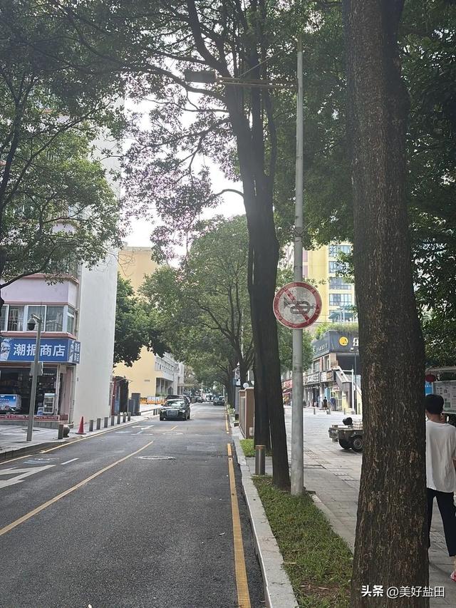 盐田林荫道，永远是封神的存在