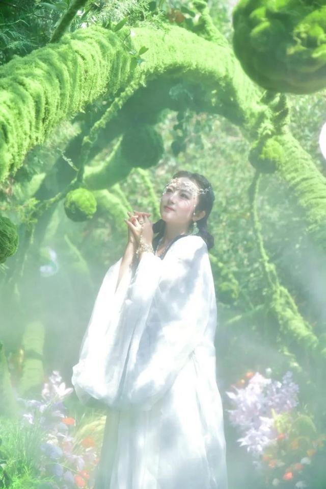 初秋神农山太绝了！龙脊穿云、白松摇曳，看不完的浪漫与惊喜！