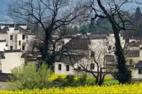 梦见自己拉屎是什么意思？预示什么？图片