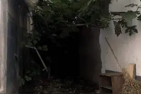 南昌经开区瀛上村60多亩国有土地闲置多年搞违建？官方回应图片