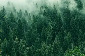 一梯一户纯板式！市场爆品! 点击get全部惊喜！图片