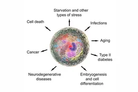 老年人为什么会腿无力、使不上劲？补充2种营养素，可以增强体质图片