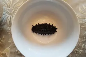 吃海参真的会身体倍儿棒？医生为您深度解读其营养价值、药用功效图片