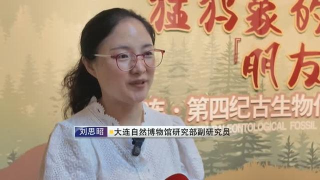 扬州：“科技+历史+生物”多元文化受热捧 “文化纳凉”成暑期新风尚