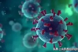 世卫警告，新冠卷土重来，2024年，还会再封城吗？再核酸检测吗？图片