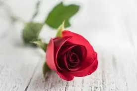 一种很绝的心态：我不要了图片