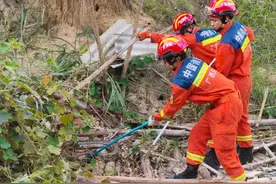 吓人！单条最重达50斤！６条巨蟒藏身废弃猪场图片