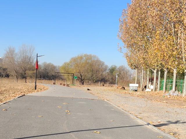 德州城西“花园营地”怎么不见了？