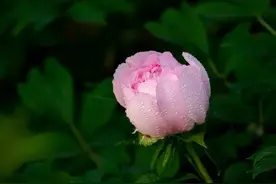 74年，51岁，替大家试过了，中年女性坚持锻炼，有意想不到的惊喜图片