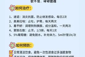 狗狗胰腺炎症状+治疗+预防图片