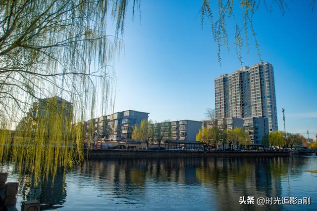 春柳映水，城市里的治愈系风景