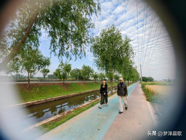 云梦初夏好风光，秦皇河畔醉田园