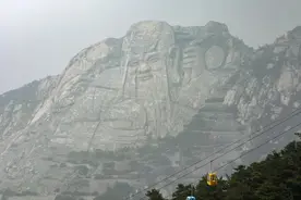 山东省职工医保门诊报销比例图片