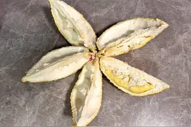 告别开盲盒时代？单价“2开头”，今年榴莲大战从“保房”开始图片