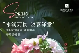 太原市小店区：来小店商圈，把春天装进行囊，赴一场与春日的浪漫约会图片